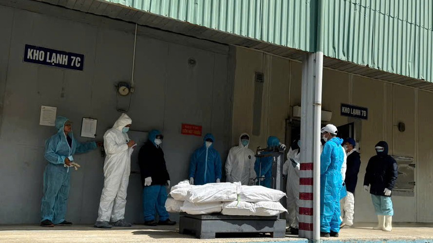 Rà soát toàn bộ sản phẩm của Đồ hộp Hạ Long tại Hải Phòng - Ảnh 4