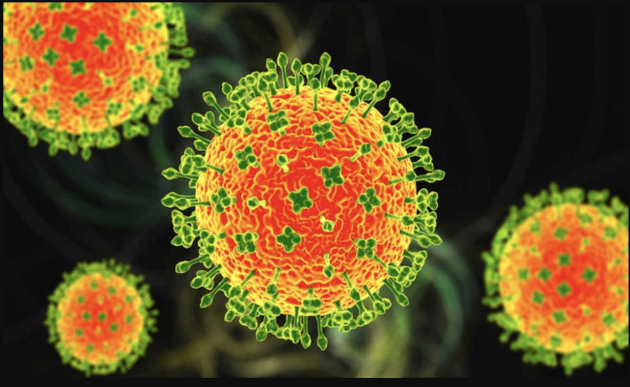 Toàn cảnh virus Nipah: Mối đe dọa âm ỉ khiến thế giới luôn trong trạng thái báo động - Ảnh 5