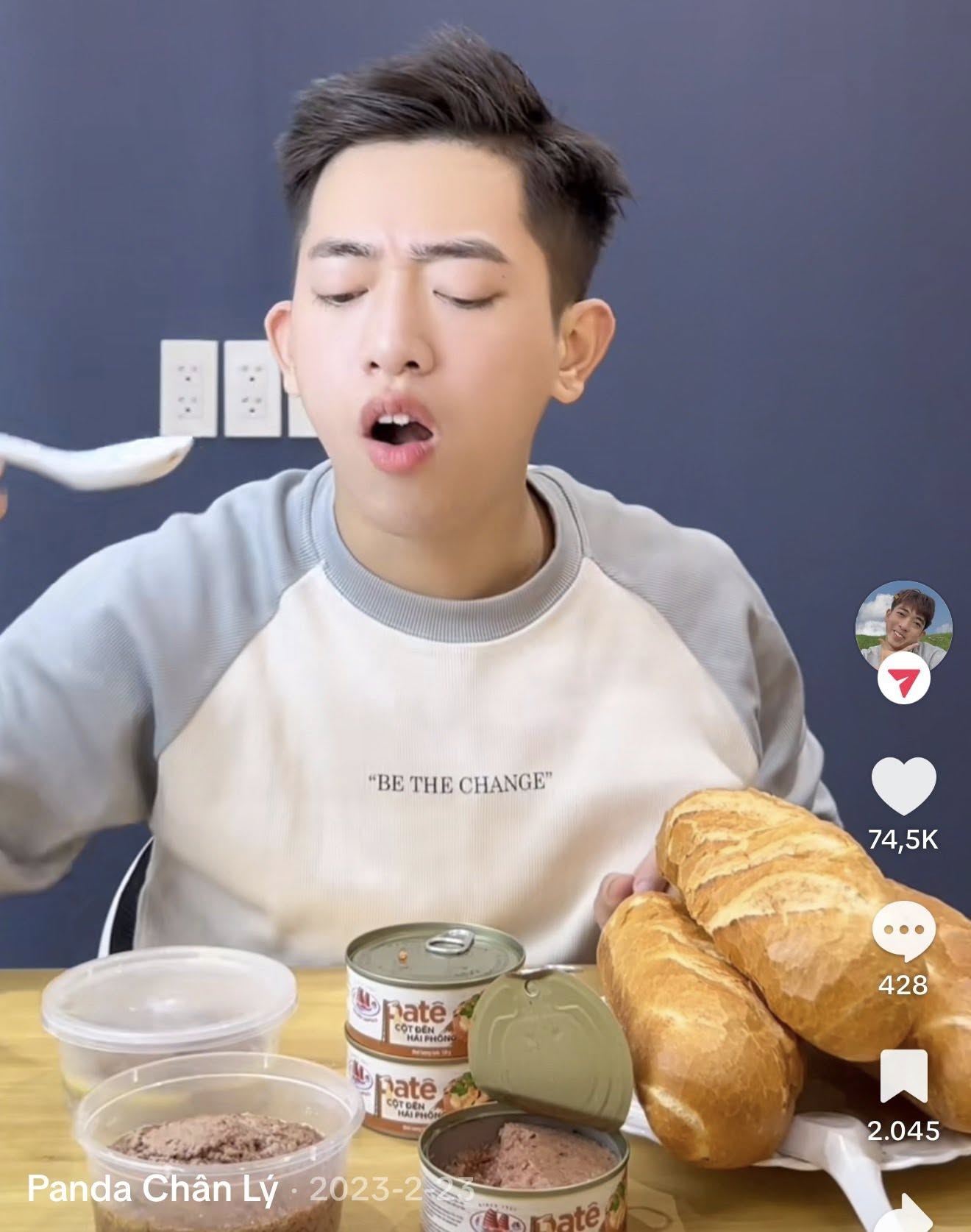 Loạt TikToker bị nhắc tên vì từng review pate do CTCP Đồ hộp Hạ Long sản xuất - Ảnh 5