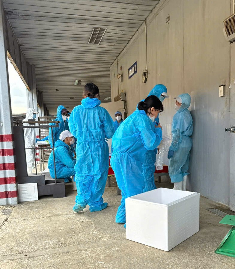 Nóng: Tiêu hủy gần 14.000 hộp 'patê cột đèn' làm từ thịt lợn bệnh - Ảnh 2