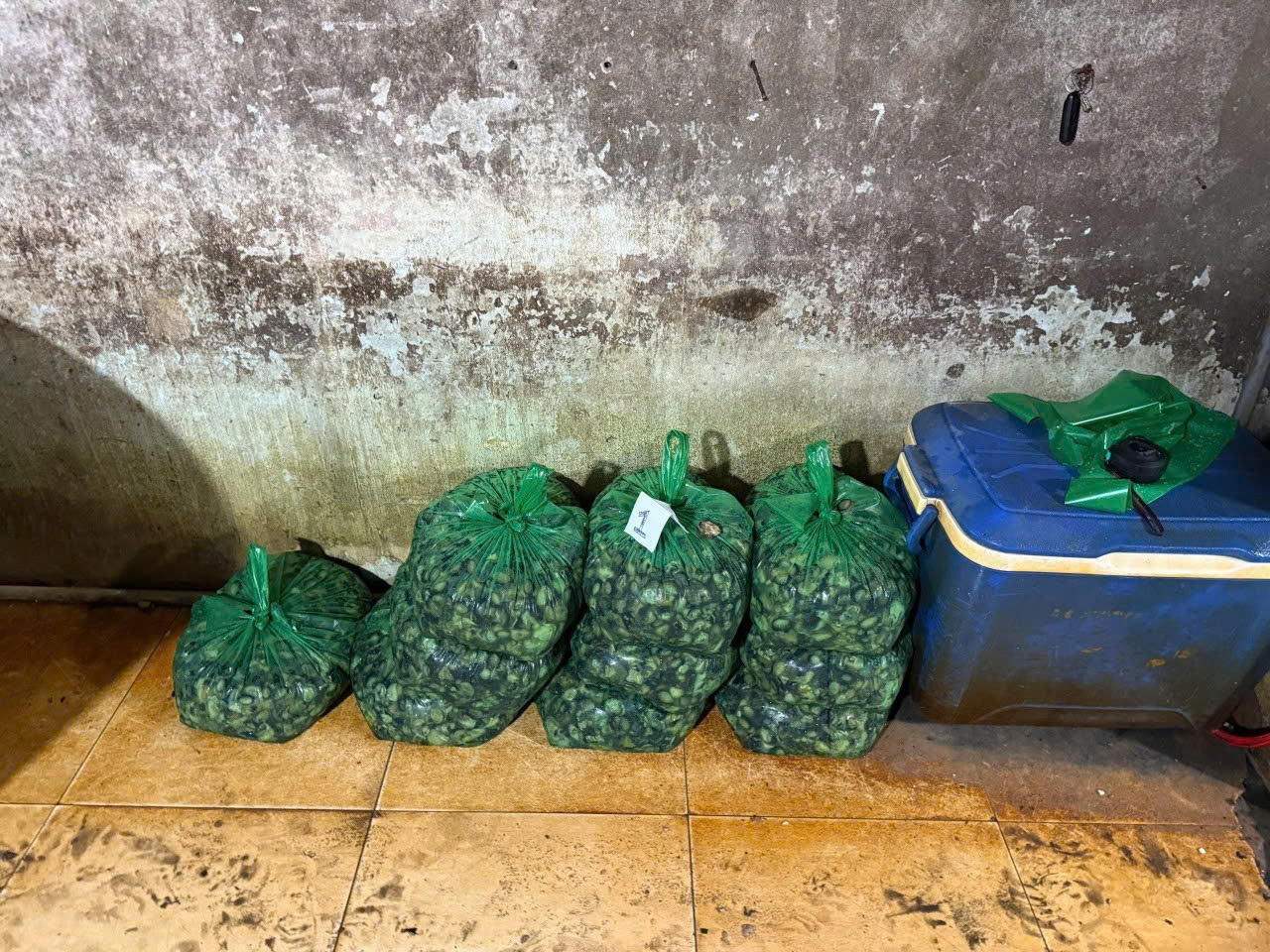 Công an TPHCM công bố hình ảnh bên trong cơ sở ngâm ốc bươu bằng hoá chất - Ảnh 5