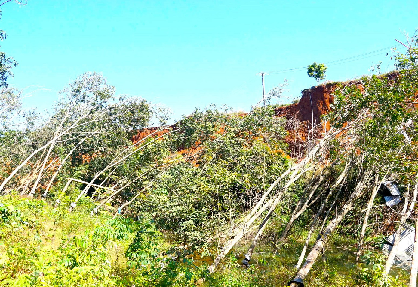 Vì sao nhiều hộ dân ở Gia Lai vẫn cố thủ quanh vực 'tử thần'? - Ảnh 5