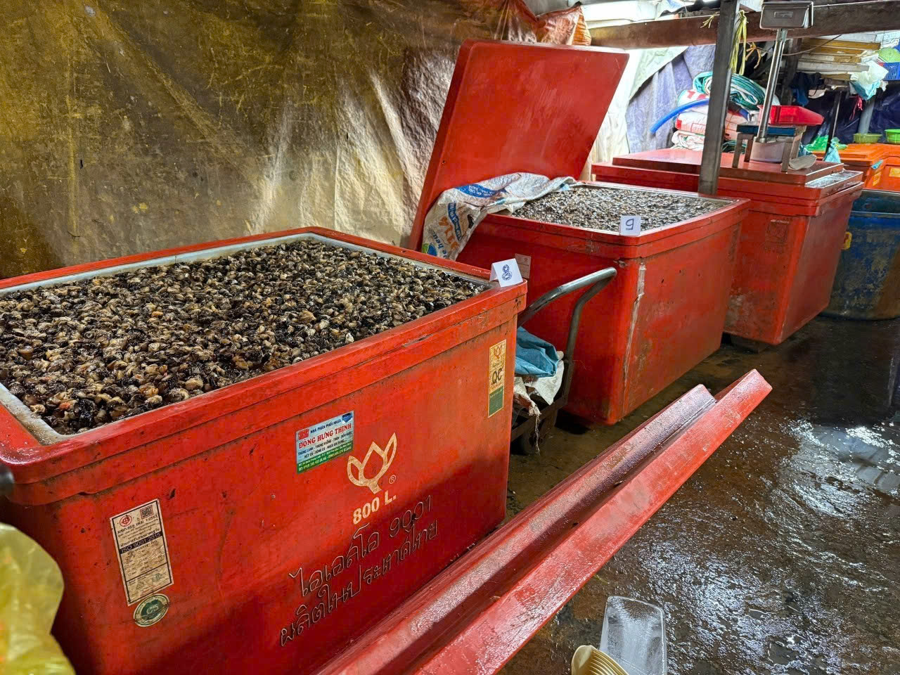 Công an TPHCM công bố hình ảnh bên trong cơ sở ngâm ốc bươu bằng hoá chất - Ảnh 6