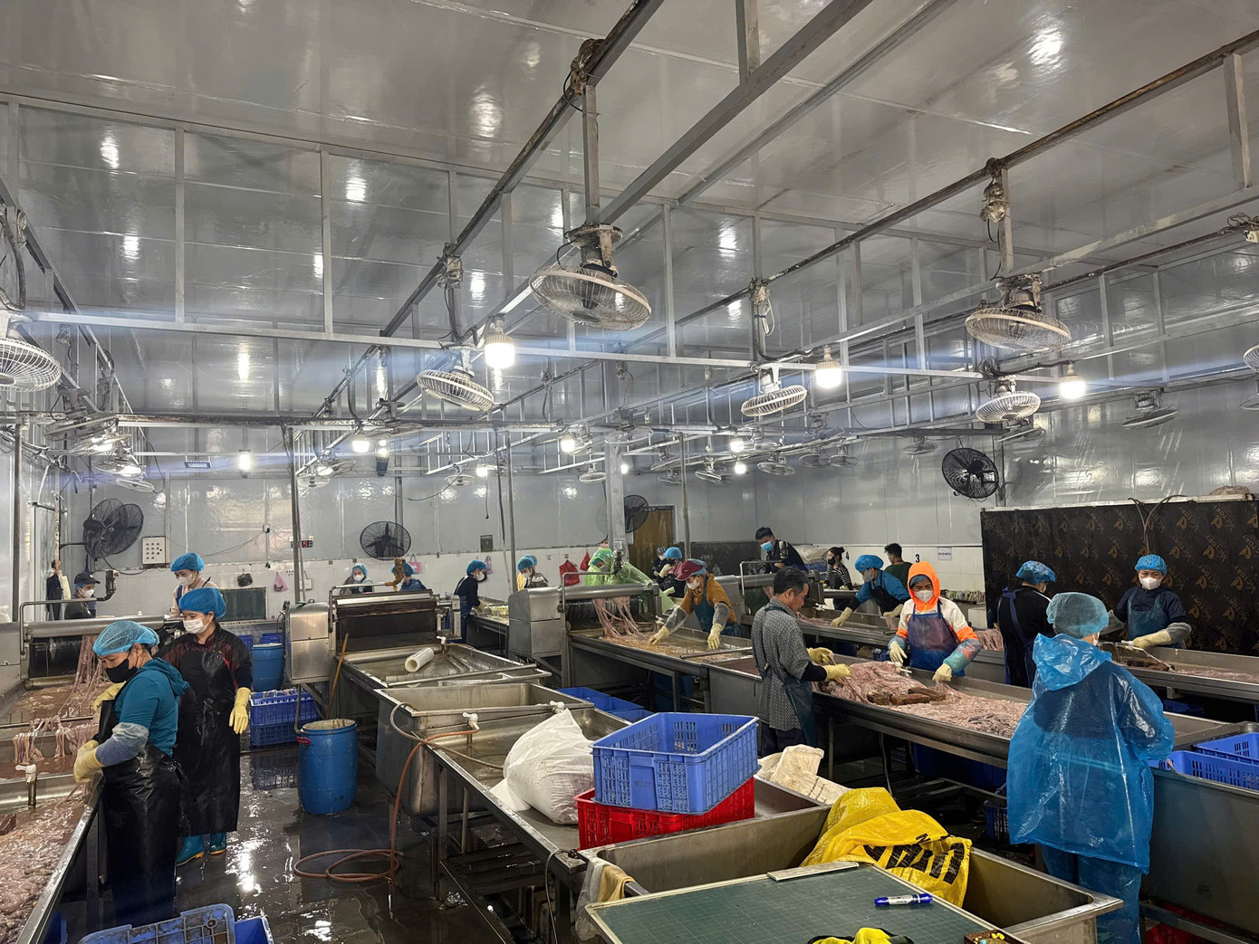 Hà Nội: Thu giữ hơn 60 tấn lòng lợn không rõ nguồn gốc tại kho đông lạnh - Ảnh 2