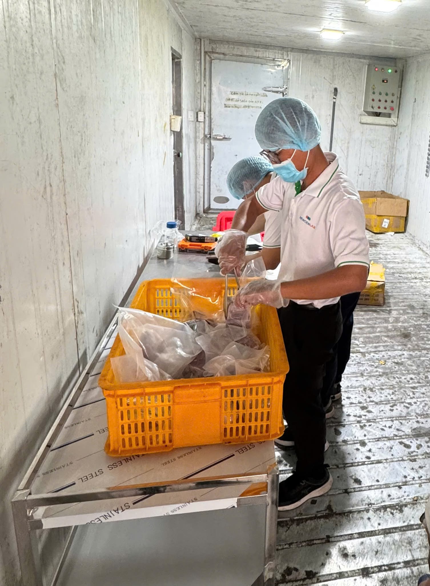 Cận cảnh kho thịt heo "đội lốt" đà điểu, dê, nai, nhím tuồn ra thị trường vừa bị triệt phá - Ảnh 10