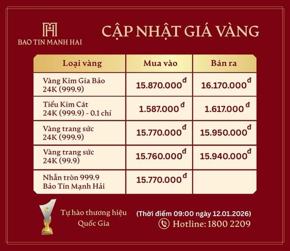 Giá vàng tiếp tục tăng mạnh, đạt kỷ lục chưa từng có, thẳng tiến tới cột mốc mới - Ảnh 2