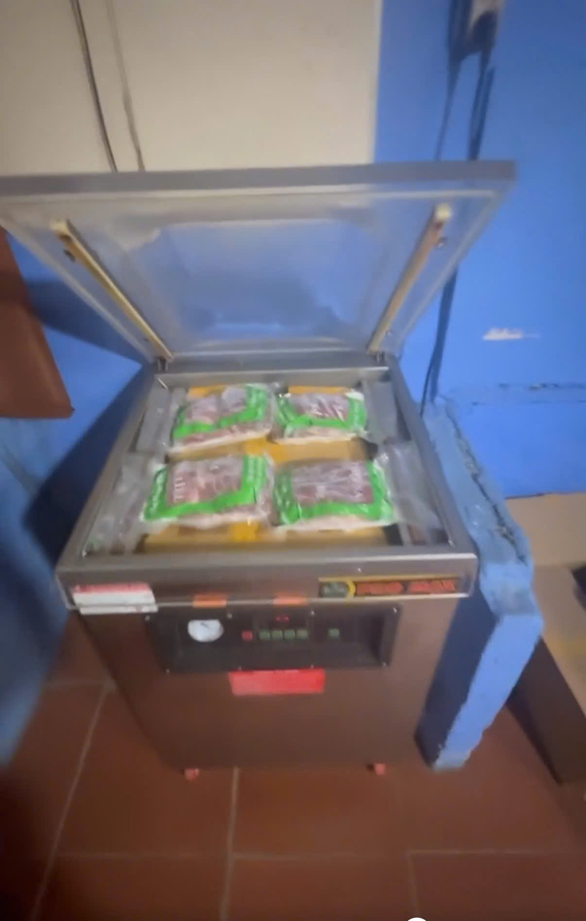 Cận cảnh kho thịt heo "đội lốt" đà điểu, dê, nai, nhím tuồn ra thị trường vừa bị triệt phá - Ảnh 2