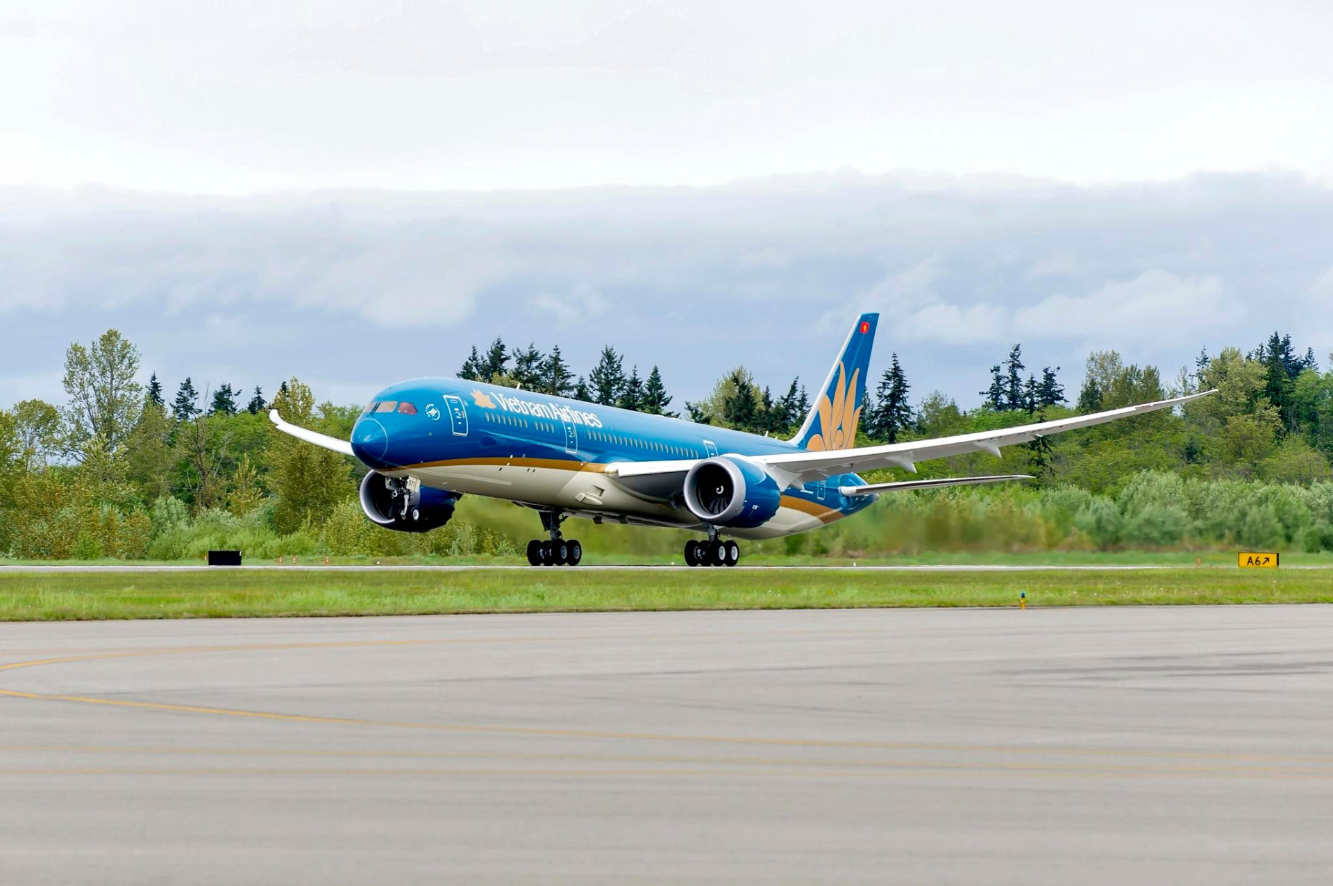 Máy bay Vietnam Airlines quay đầu khẩn cấp: Lý do phía sau khiến hàng trăm hành khách đồng loạt im lặng, không một lời phàn nàn - Ảnh 2