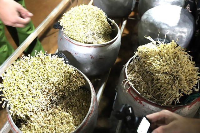 Thực phẩm bẩn liên tiếp bị phanh phui - Ảnh 6