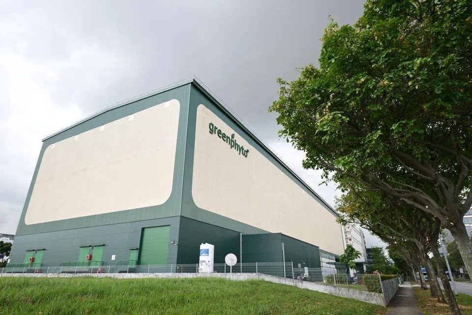 'Chung cư trồng rau' cao nhất thế giới ngay gần Việt Nam: rộng 2ha, công suất 2.000 tấn rau/năm, vận hành chỉn chu ngang nhà máy công nghệ cao - Ảnh 1