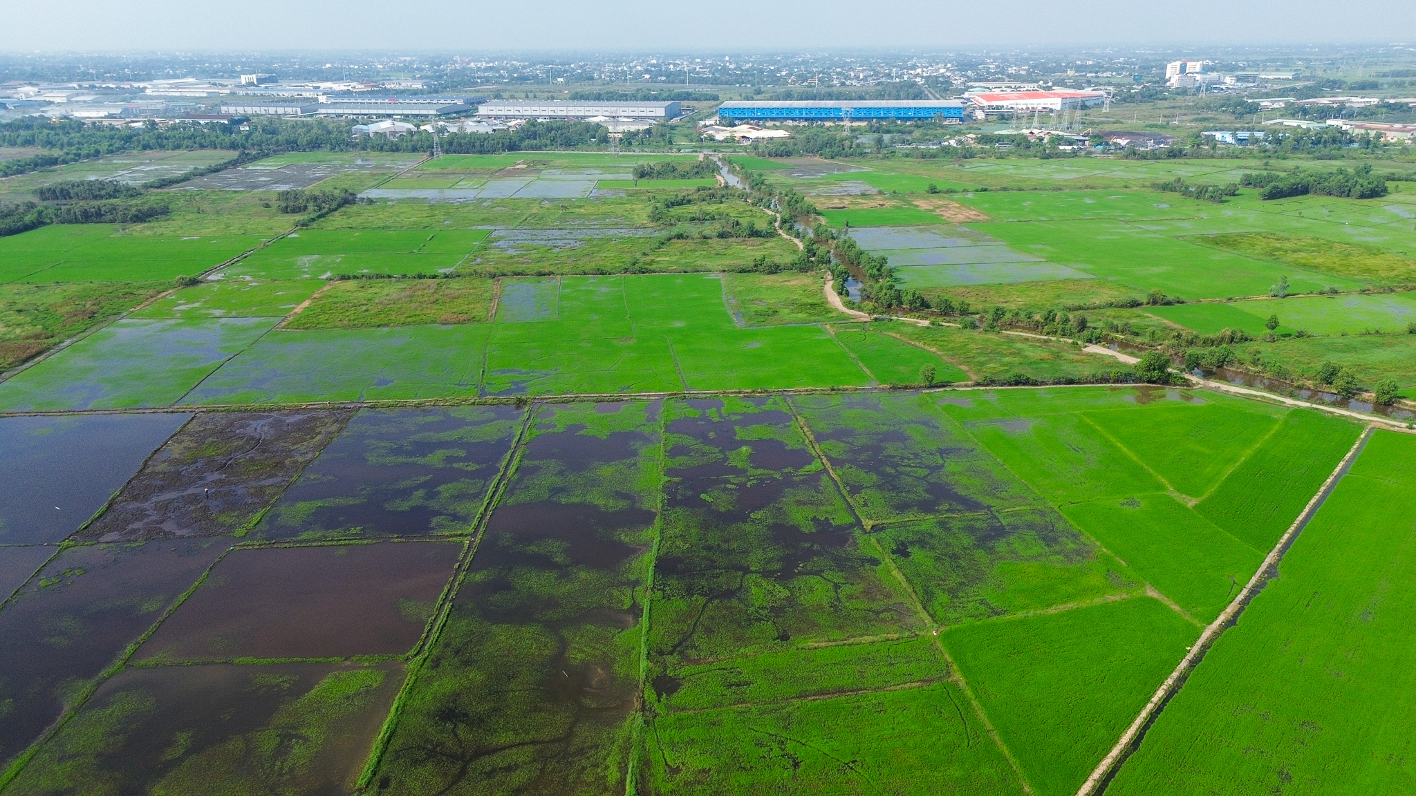 Vinhomes sắp xây khu đô thị đại học quốc tế lớn nhất cả nước: vốn gần 59.000 tỷ, rộng ngang quận trung tâm, nằm sát Vành đai 3 - Ảnh 9