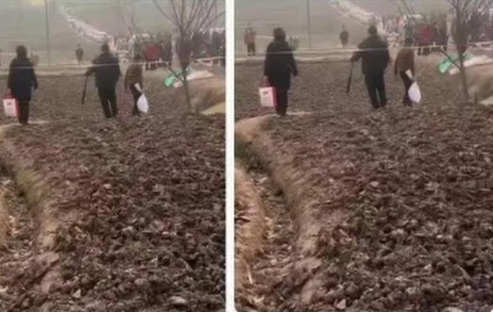 'Cơn cuồng hot girl mổ lợn Tết’ và biến tướng mua bán ‘đất may mắn’ ở Trung Quốc - Ảnh 2