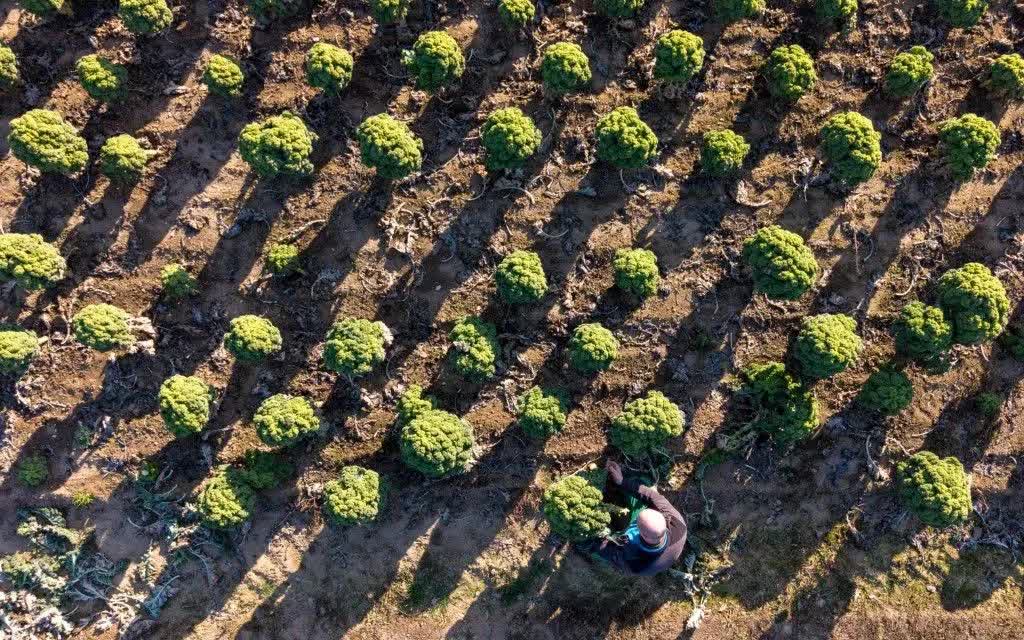 Thế giới bước vào kỷ nguyên “phá sản nguồn nước” - Ảnh 1