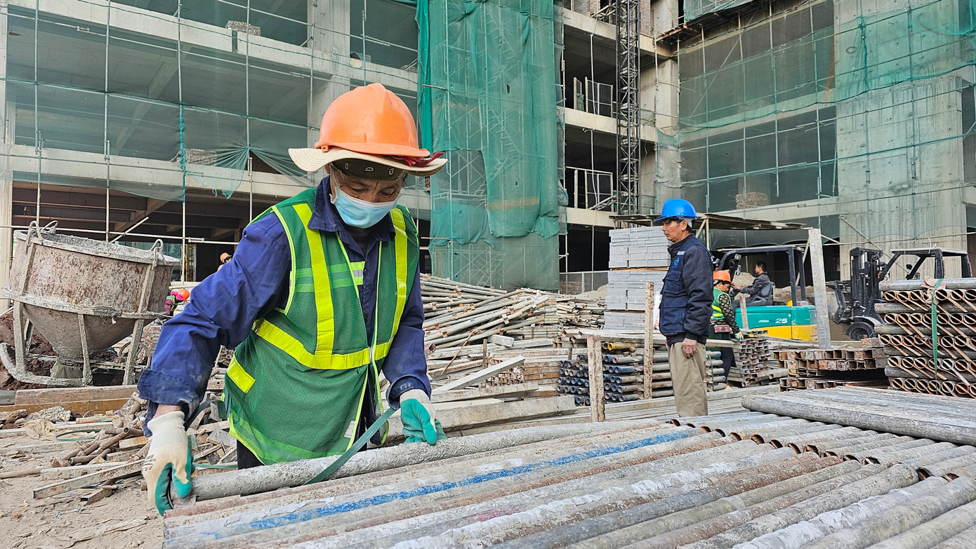 Cần tính đến phương án nhập khẩu nhân công - Ảnh 1