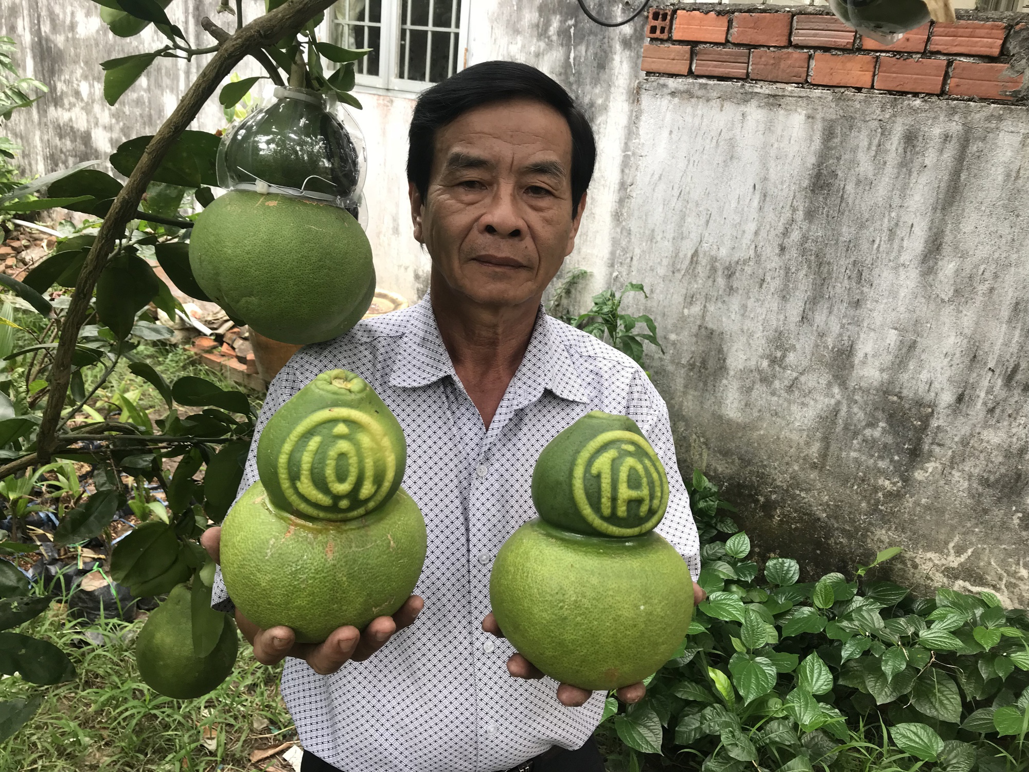 Thị trường Tết không còn mặn mà với trái cây "độc, lạ"? - Ảnh 2