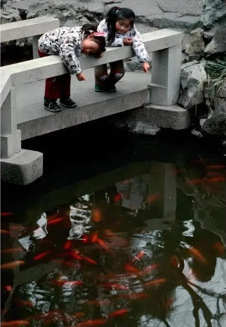 Ảnh cũ Thượng Hải thập niên 1980: Phương tiện này thống trị đường phố, có nơi 40 năm chưa hề khác - Ảnh 20