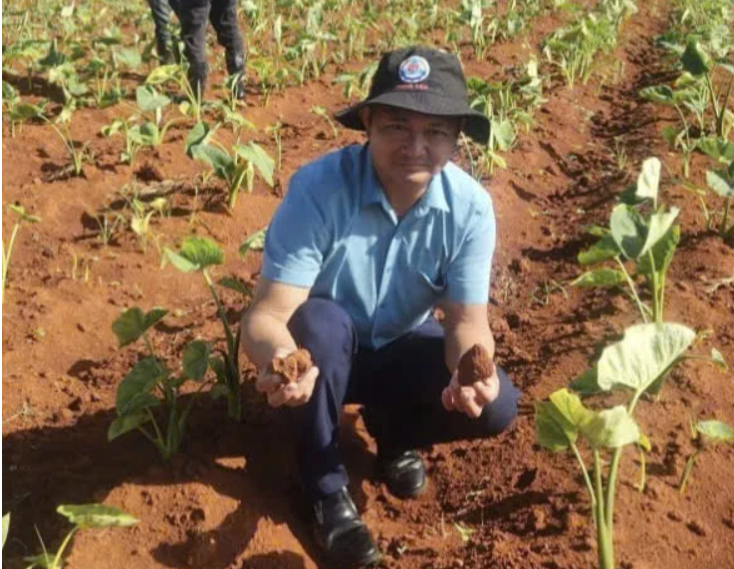 Cuba "mở kho" 2.000ha đất cho DN Việt, hé lộ mục tiêu với mặt hàng mà Việt Nam đang thống lĩnh thế giới - Ảnh 1