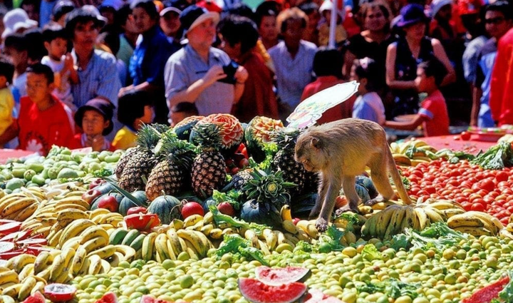 Buffet cho khỉ: Đại tiệc độc nhất vô nhị ở Thái Lan - Ảnh 1