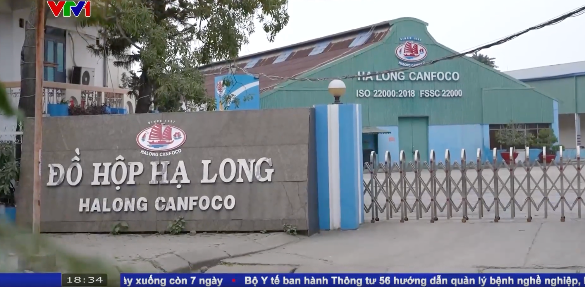 Tổng giám đốc Đồ hộp Hạ Long vừa bị bắt là ai? - Ảnh 1