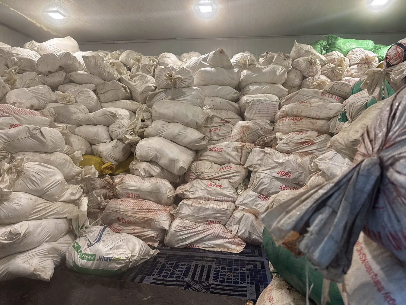 Hơn 60 tấn lòng heo hôi thối, chuyển màu nằm trong kho lạnh - Ảnh 1