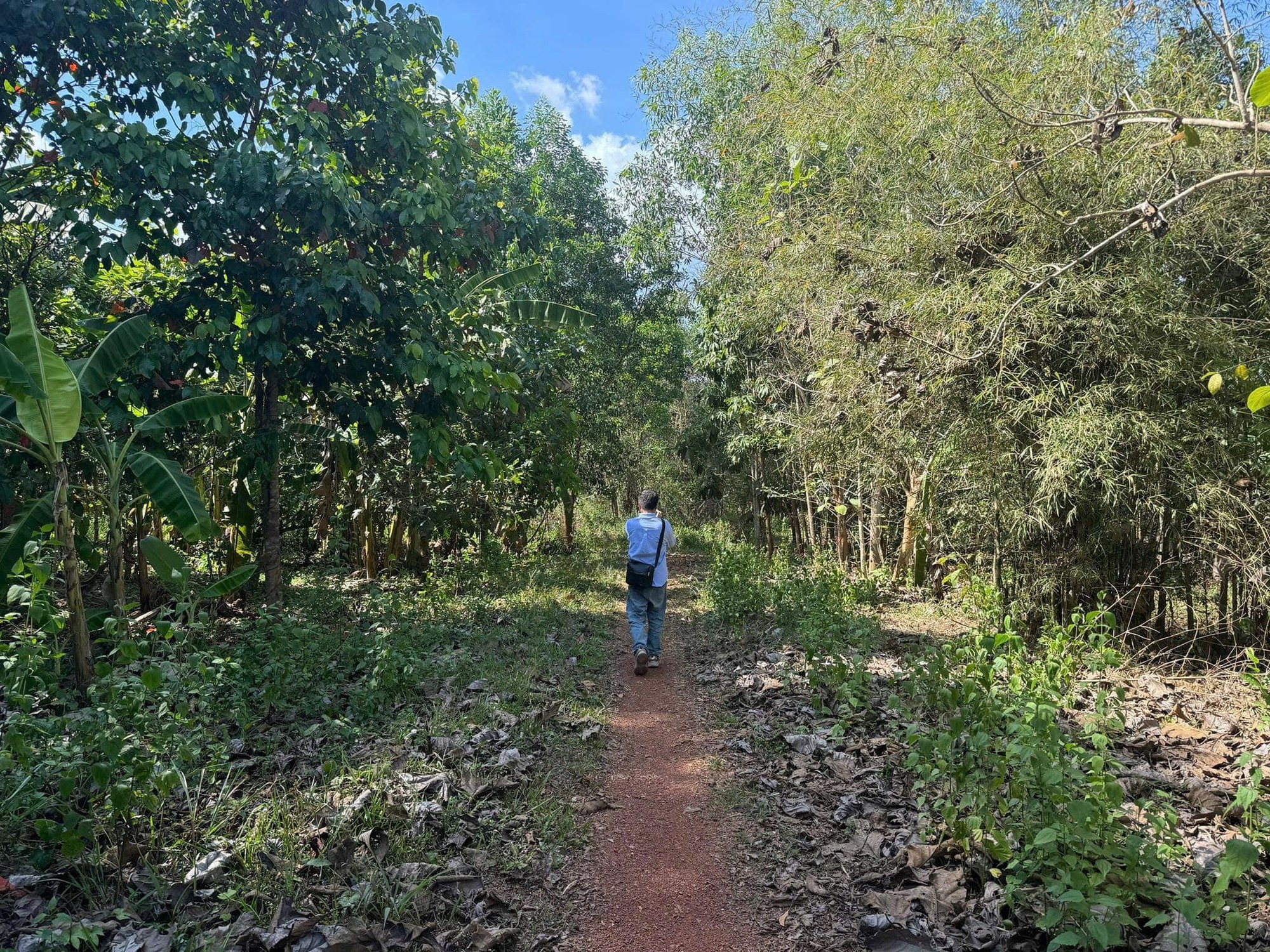 Chấp thuận nhà đầu tư đề xuất dự án đường kết nối từ cầu Mã Đà với Vành đai 4 TPHCM - Ảnh 1