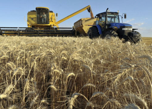 Hơn 700 nghìn tấn hàng từ Ukraine đổ bộ Việt Nam trong năm 2025, là mặt hàng nước ta gần như không trồng được - Ảnh 1