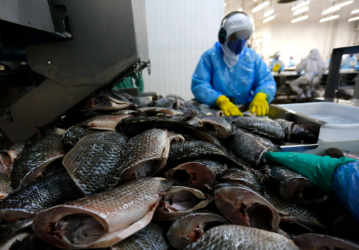 Không phải cá tra hay cá ngừ, một sản vật của Việt Nam được người Mỹ cực kỳ mê: Xuất khẩu tăng 141%, châu Âu, Trung Đông đều ưa chuộng - Ảnh 1