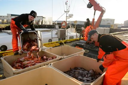 Nga đón tin vui từ Hàn Quốc - Ảnh 1