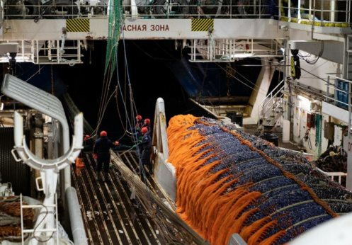 Nga đón tin vui chưa từng có ngay tại láng giềng Việt Nam - Ảnh 1