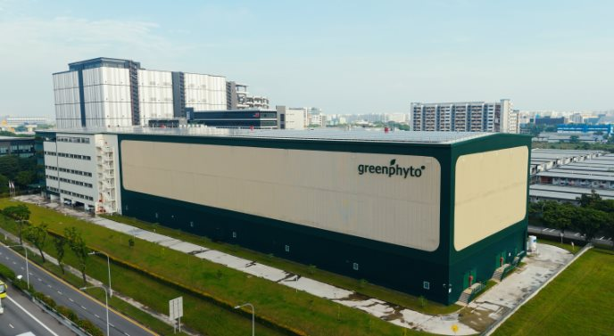 Không phải Trung Quốc hay Nhật Bản, một quốc gia châu Á làm trang trại trong nhà cao nhất thế giới: Có thể chứa 1,2 triệu cây rau, sản lượng 2.000 tấn mỗi năm - Ảnh 1