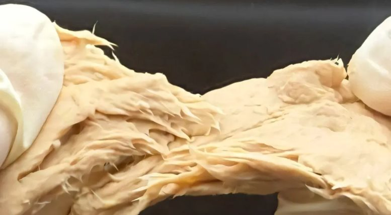 Phát minh của Trung Quốc làm rung chuyển ngành thực phẩm: Chế tạo ra nấm biến đổi gen vị giống thịt, sử dụng ít hơn 70% đất so với chăn nuôi truyền thống - Ảnh 1