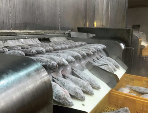 Không phải sầu riêng hay đất hiếm, một kho báu của Việt Nam được Mỹ liên tục săn lùng: Xuất khẩu tăng 499%, nước ta có lợi thế về thuế - Ảnh 1