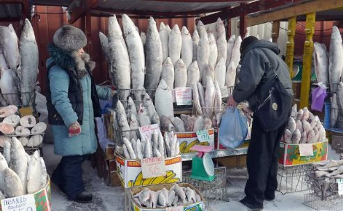 Không phải dầu thô hay khí đốt, một mặt hàng của Nga được người châu Âu cực mê: Chi hơn 700 triệu euro mua hàng, giá cao nhất trong nhiều năm - Ảnh 1