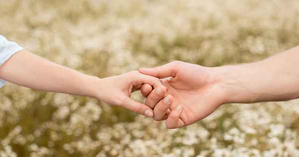 Loại gia vị “nhỏ hơn ngón tay” mang về 2.600 tỷ cho Việt Nam