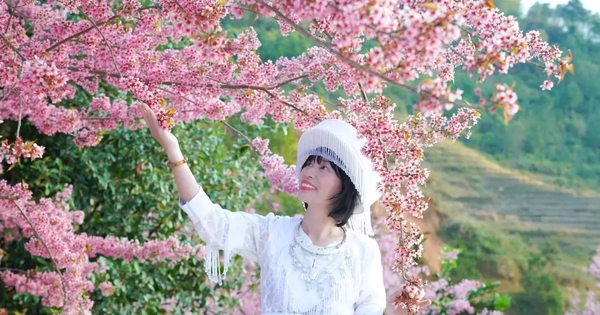 Đổ xô du lịch Sa Pa, Mù Cang Chải