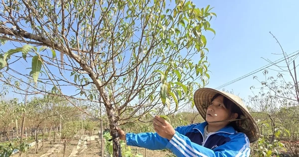 Trục đại lộ cảnh quan sông Hồng: Chỗ đứng nào cho làng nghề truyền thống?