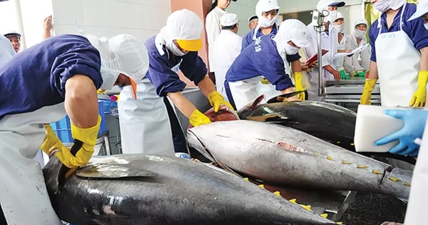 Mỹ siết nhập thủy sản: Điểm mấu chốt doanh nghiệp Việt không thể bỏ qua