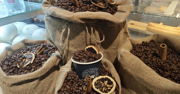 Giá cà phê hôm nay 4-1: Việt Nam là nguồn cung cà phê thứ 3 cho Mỹ