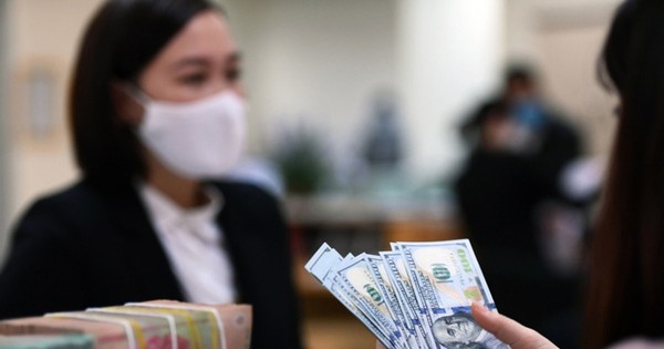 Đồng USD chịu áp lực mạnh từ chính sách nới lỏng của FED, xu hướng tỷ giá sẽ ra sao trong năm 2026?