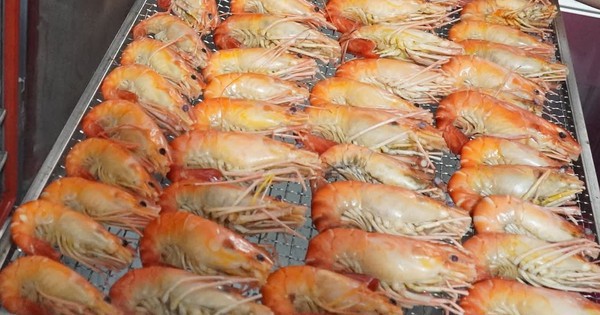 "Con tôm ôm cây lúa" bán 1 triệu đồng/kg nhờ bí quyết này