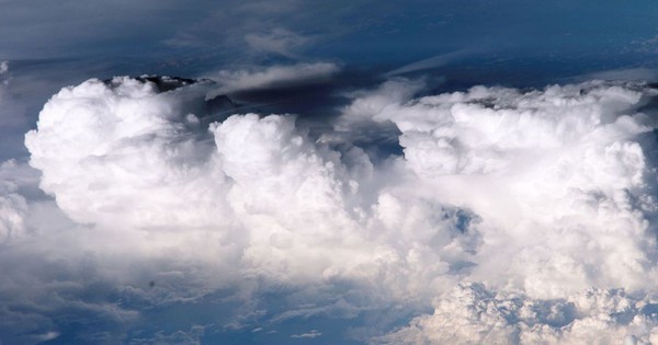 "Không ai biết vì sao điều này lại xảy ra": Các nhà khoa học toàn cầu chạy đua để giải mã 1 hiện tượng lạ