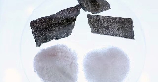 Sau vàng, bạc, đồng, đây là kim loại tiếp theo được dự báo tăng giá 50% trong năm 2026