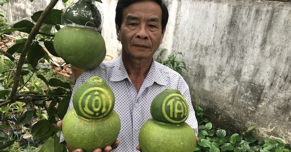 Thị trường Tết không còn mặn mà với trái cây "độc, lạ"?