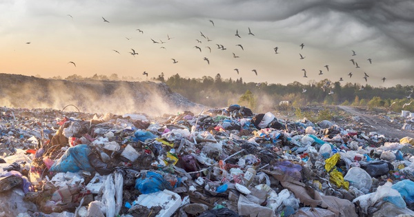 Nhà máy gần 2.000 tỷ đồng của Cà Mau đón cơ hội gia nhập thị trường chục tỷ USD toàn cầu