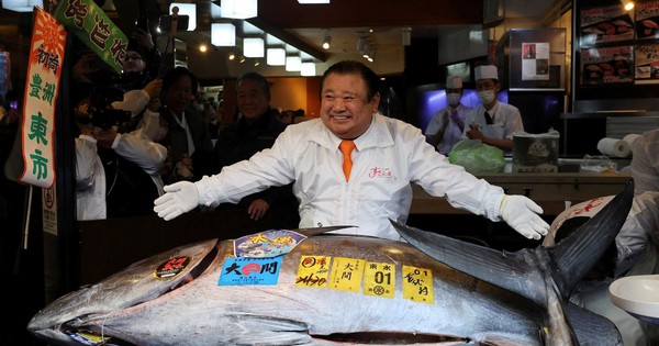 Con cá ngừ vây xanh giá 84 tỷ đồng