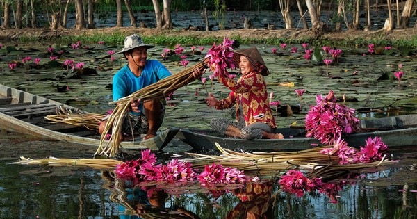 Du lịch Việt Nam: Cột mốc 20 triệu khách quốc tế và tầm vóc quốc gia