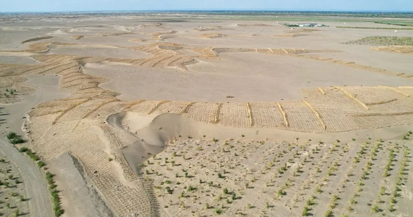 Phát minh chưa từng có trên thế giới của Trung Quốc: Không cần trồng cây vẫn phục hồi hàng nghìn hecta sa mạc, hiệu quả cao nhưng chi phí thấp