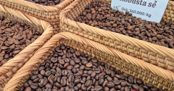 Giá cà phê hôm nay 7-1: Bật tăng, lấy lại mốc quan trọng