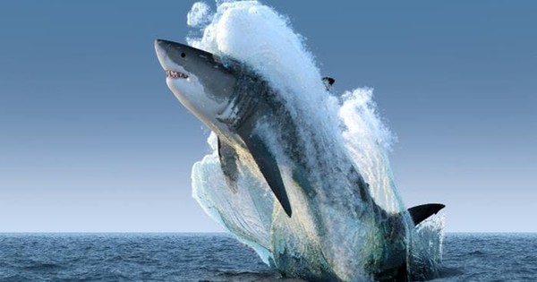 Dòng tiền lớn rục rịch trở lại, chuyên gia hé lộ nhóm cổ phiếu hưởng lợi từ “sóng Tết”