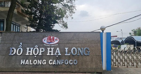 Khởi tố, bắt tạm giam 9 đối tượng liên quan vụ 120 tấn thịt lợn nhiễm bệnh "nằm kho" CTCP Đồ hộp Hạ Long